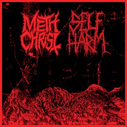 Methchrist / Self Harm