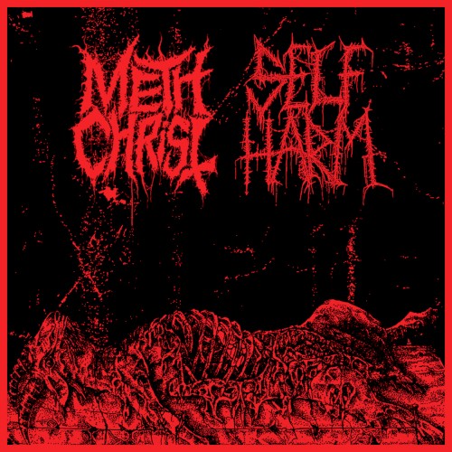 Methchrist / Self Harm
