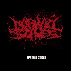 Promo 2008