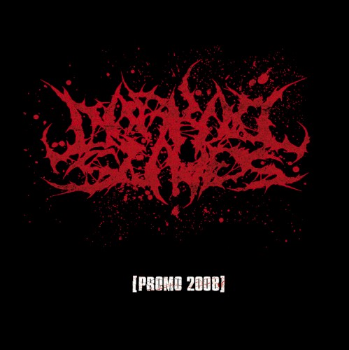 Promo 2008