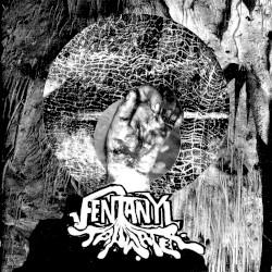 Discography