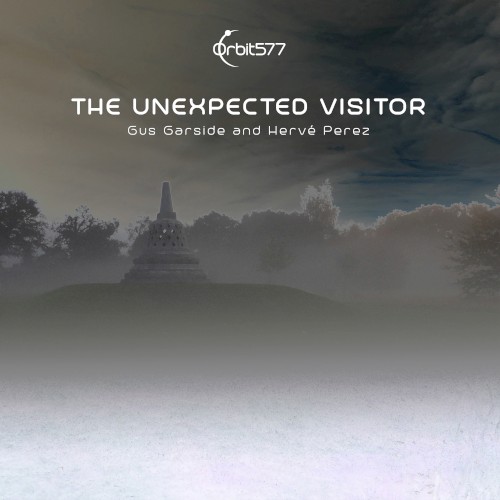 The Unexpected Visitor