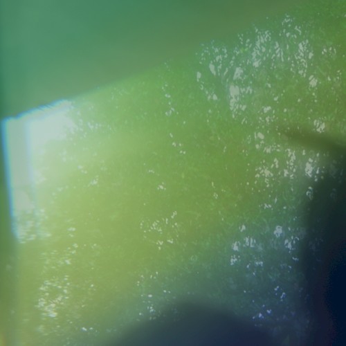 Hazy Colors