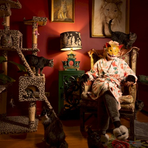Portrait of a Cat Lady