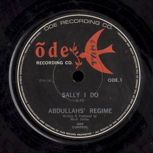 Sally I Do