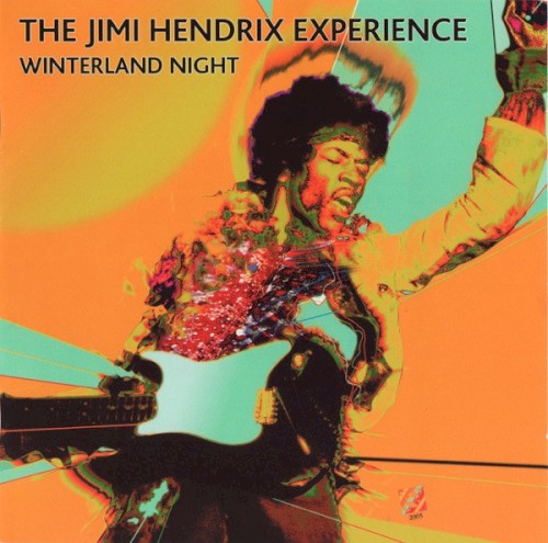 Winterland Night