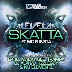 Skatta