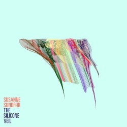 The Silicone Veil