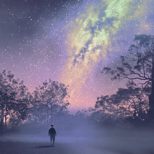 Introspective