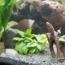 aquarium