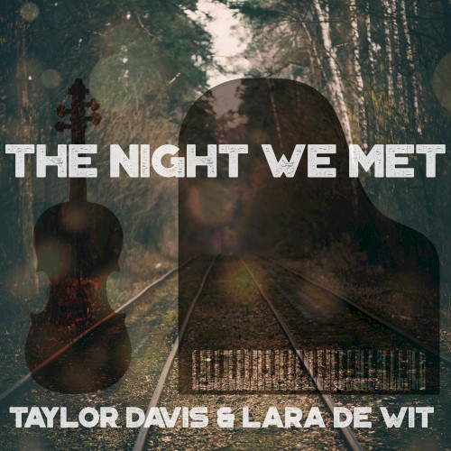 The Night We Met