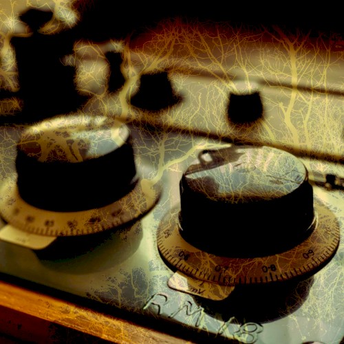 Analogue Studies at Dawn & Dimmity