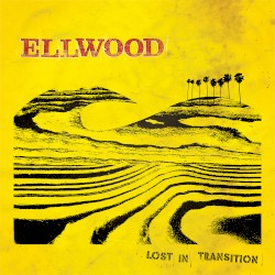 Lost in Transition