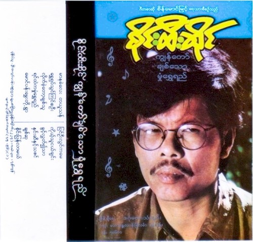 ကျွန်တော်ချစ်သော မှုံရွှေရည်