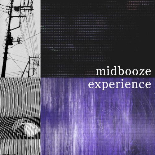 Experience