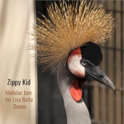 Modular Jam for Liza Bella Donna