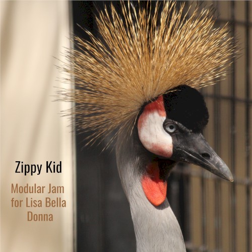 Modular Jam for Liza Bella Donna