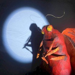 The Nightlings