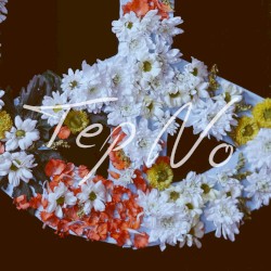 Peace and Love