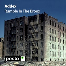 Rumble In The Bronx