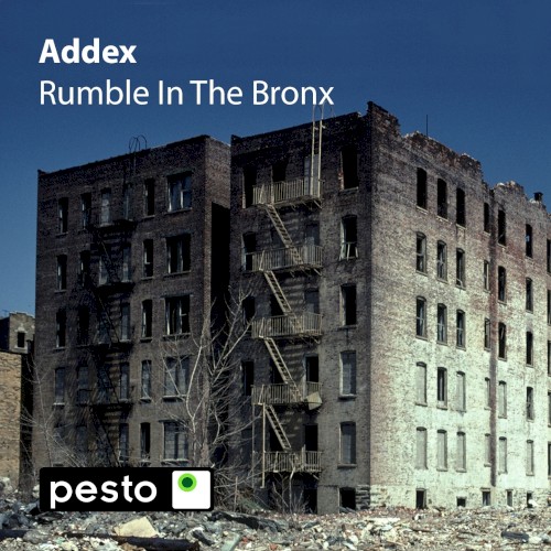 Rumble In The Bronx