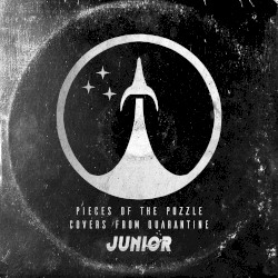 Pieces Of The Puzzle (Covers from Quarantine)