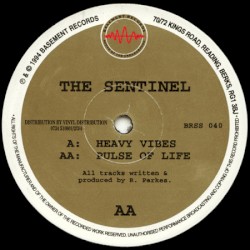 Heavy Vibes / Pulse of Life