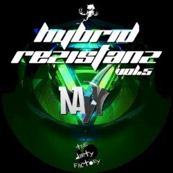 Hybrid Rezistanz 05