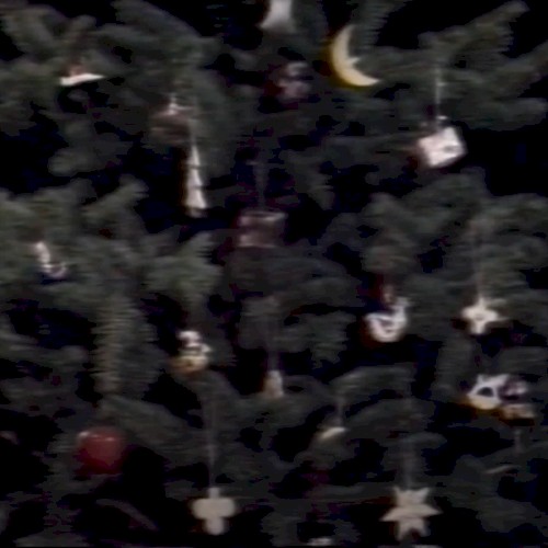 ＨｏｌｉｄａｙＴｒａｎｓｍｉｓｓｉｏｎ