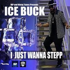 I Just Wanna Step - Radio