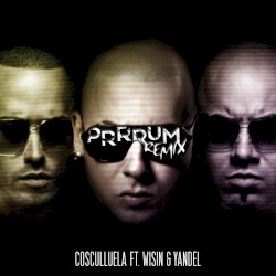 Prrrum (remix)