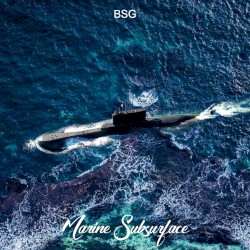 Marine Subsurface