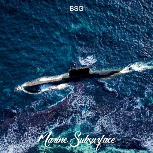 Marine Subsurface