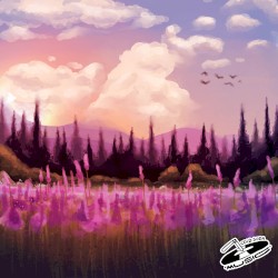 Lavender Fields