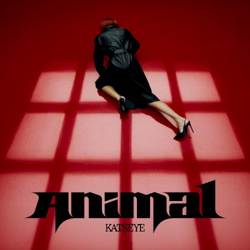 Animal (on the dance floor)