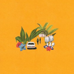 Your Old House