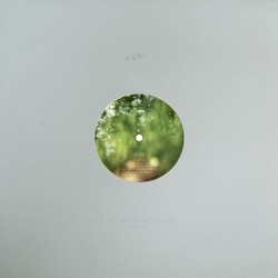 Domenica / Novembre