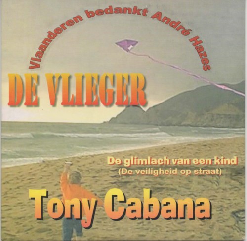 De vlieger