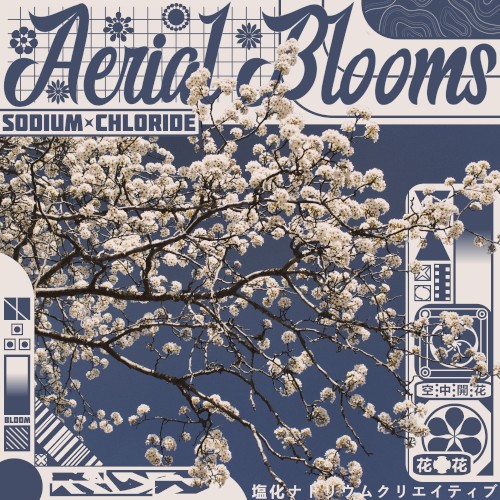 Aerial Blooms