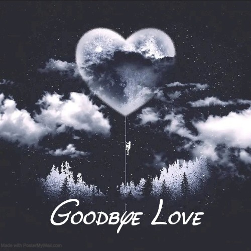 Goodbye Love