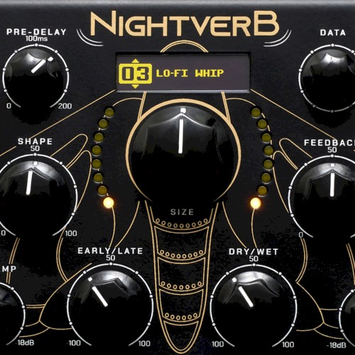 Nightverb