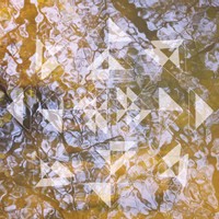Liquid Light Forms