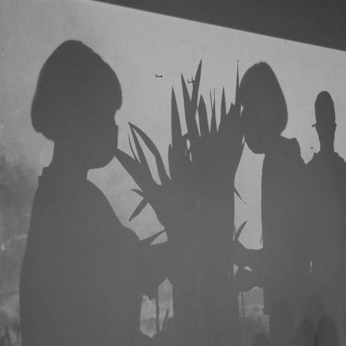 Concurrent: A Biosensory Ballet