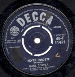 Never Goodbye