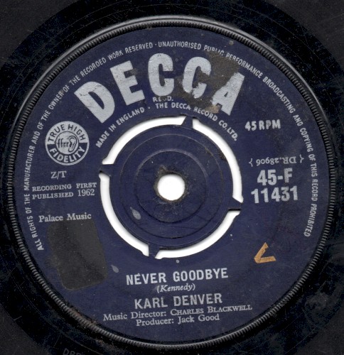 Never Goodbye