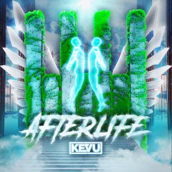 Afterlife