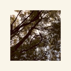 Fall