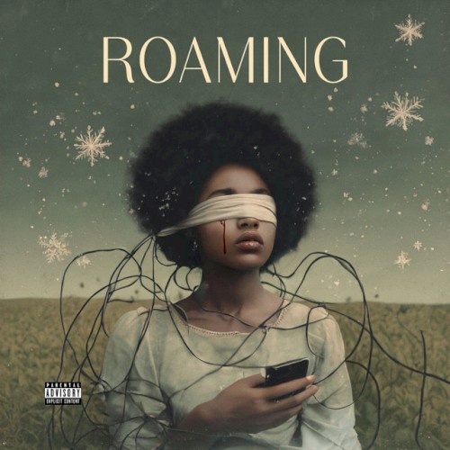 Roaming