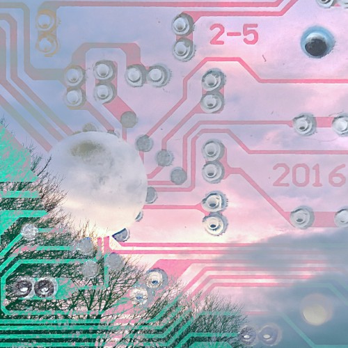 forever 2016