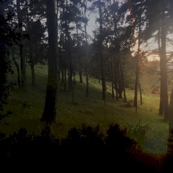 Au seuil du vent